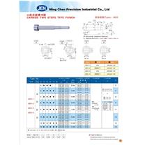 Carbide Two Steps Type Punch